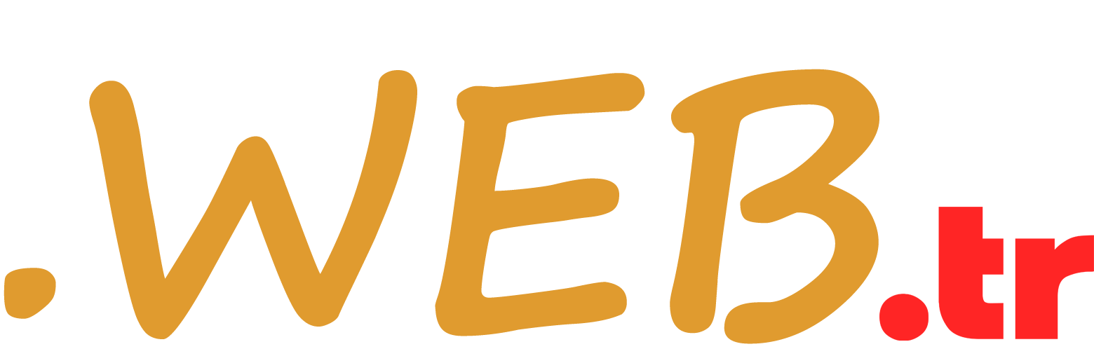 .web.tr Logo